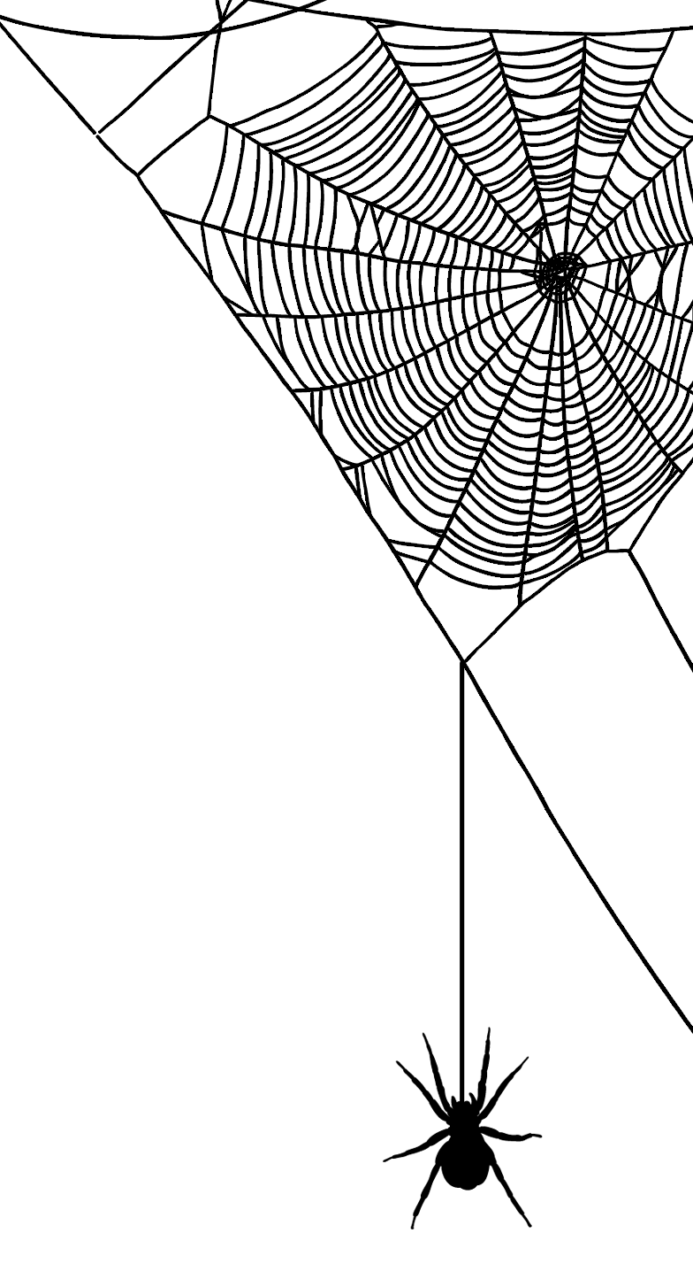Netz Oben Rechts mit Spinne
